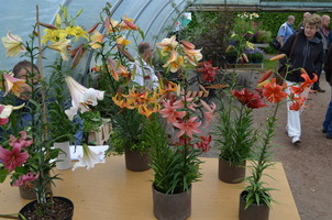 Foto: Roland Naundorf